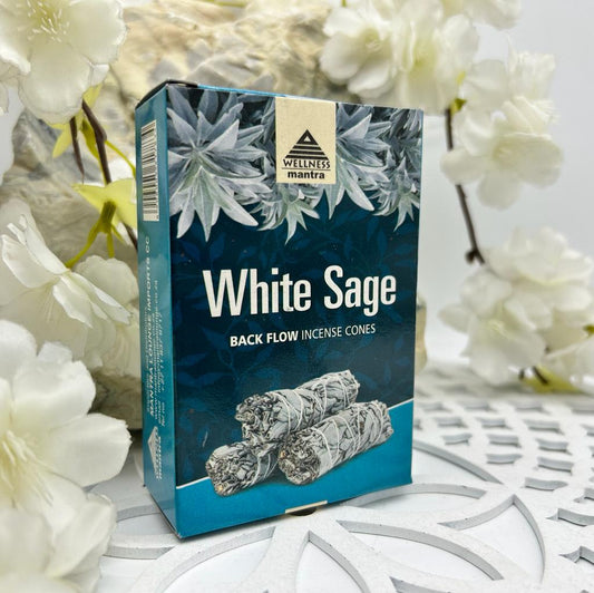 Wellness Mantra White Sage Backflow Incense Cones (10 Cones)